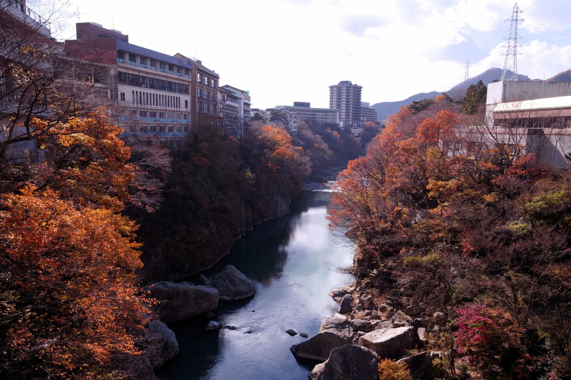 AdobeStock_236583654